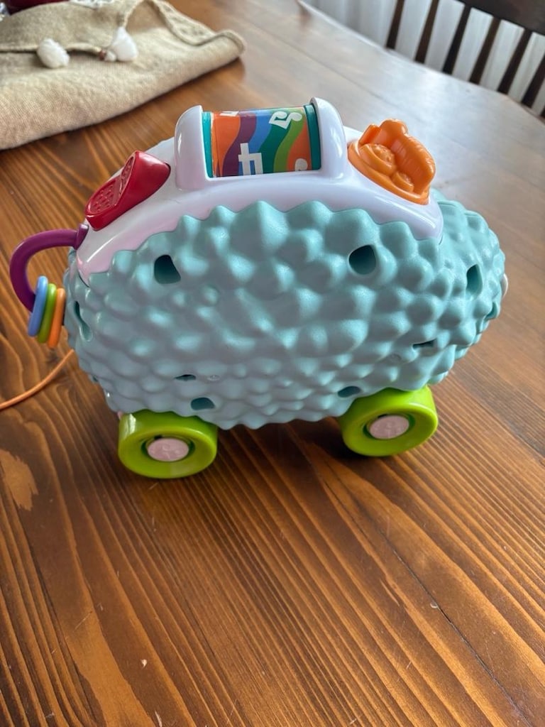 Fisher Price Gezgin Kirpi - 3