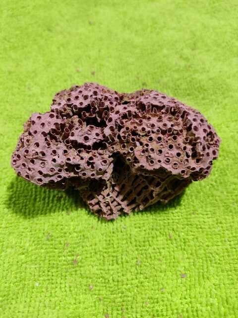 HAKİKİ DOĞAL KIRMIZI MERCAN 36 GR