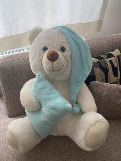 Peluş büyük ayı