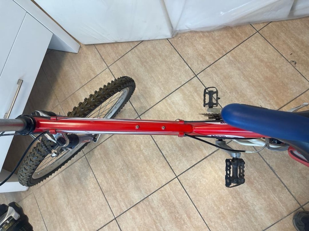 Bianchi Off-Road ASPID Lite Steel Bisiklet