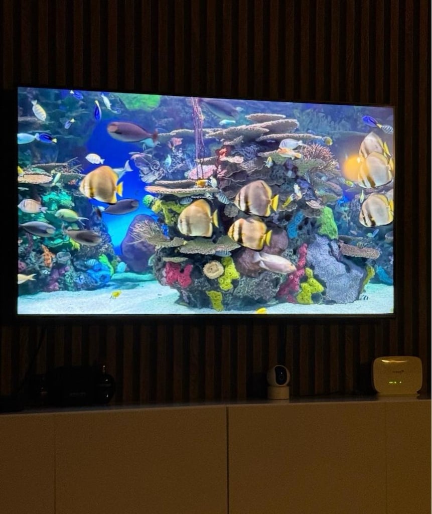 55 ekran LG Nanocell 4K akilli Smart TV yeni gibi webOS - 4