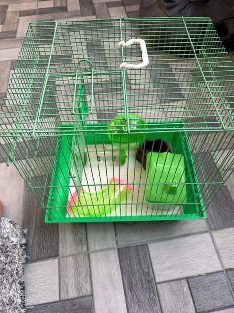 Sıfır ayarında hamster kafesi ve envanterleri