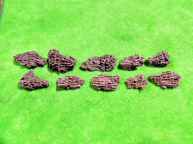 Hakiki Doğal Kırmızı Mercan 55gr (10 parça)