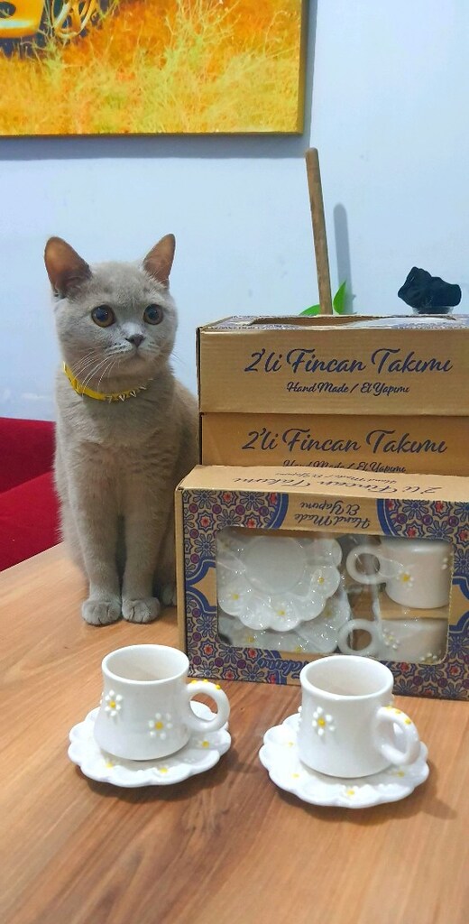 2 Lİ FİNCAN TAKIMI - 16