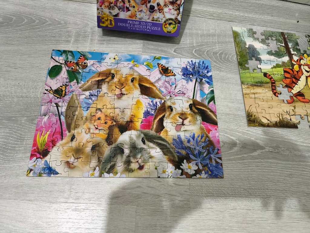 çift taraflı 3D puzzle - 4