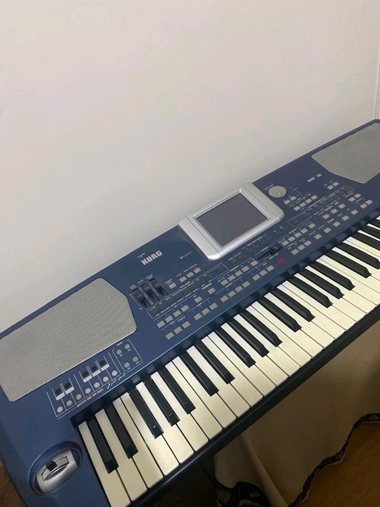 KORG PA500 ORT Oriental - 3