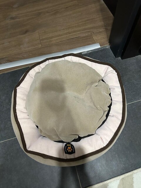 KEDİ KÖPEK YATAĞI