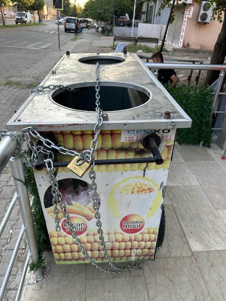 Mısır Arabası Koçanlı