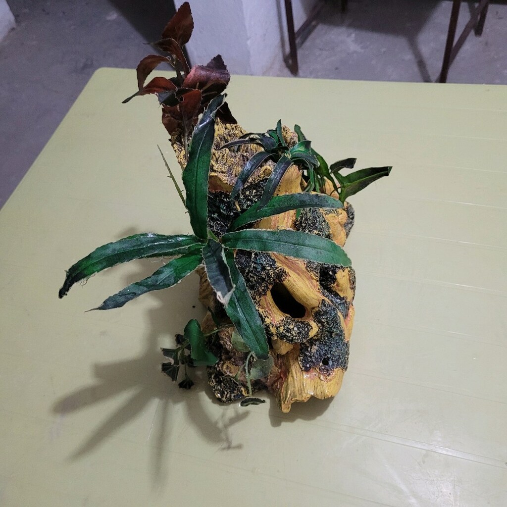 AKVARYUM DEKOR. - 8