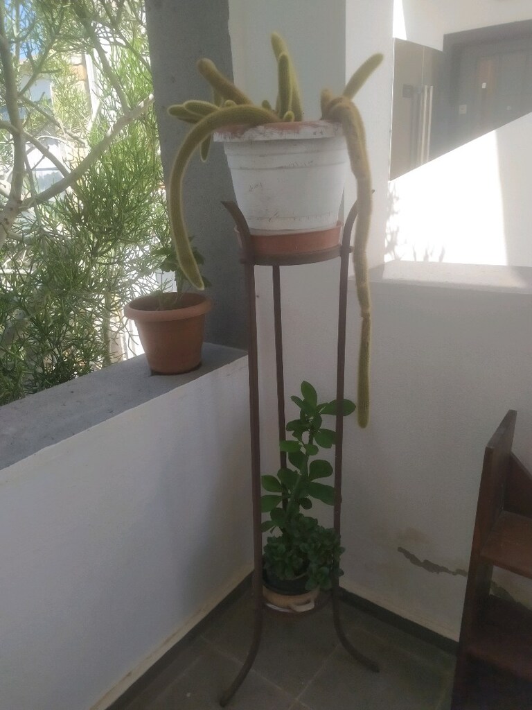 ferforje çiçeklik - 2