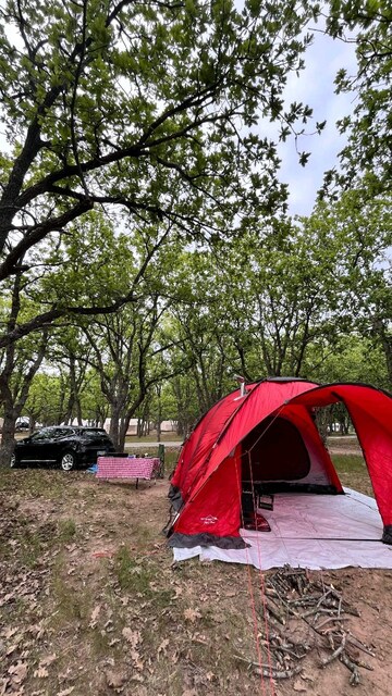 Nurgaz Campout Family Maxi Çadır