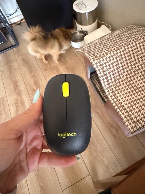 Logitech mouse