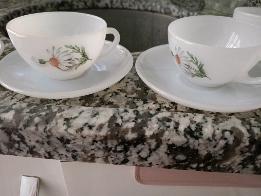 6 lı fincan - 2