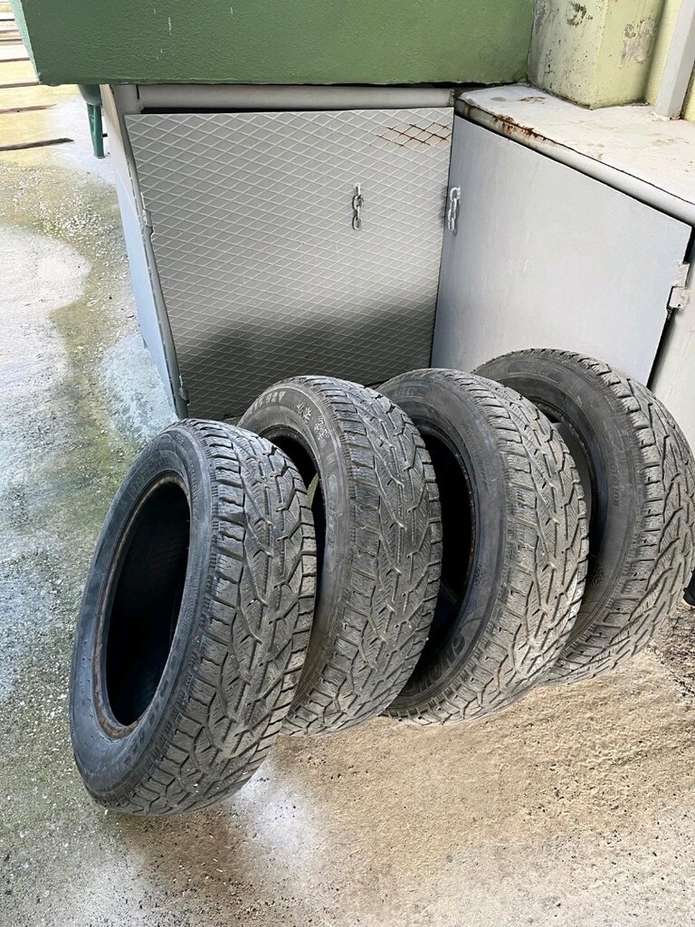 185/65 R15 92T Kış Lastiği Riken - 2