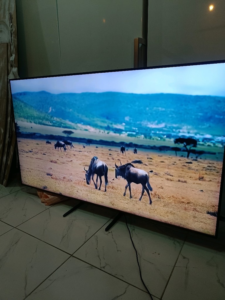 Samsung 165 ekran 120 herz 4K q LED TV - 7