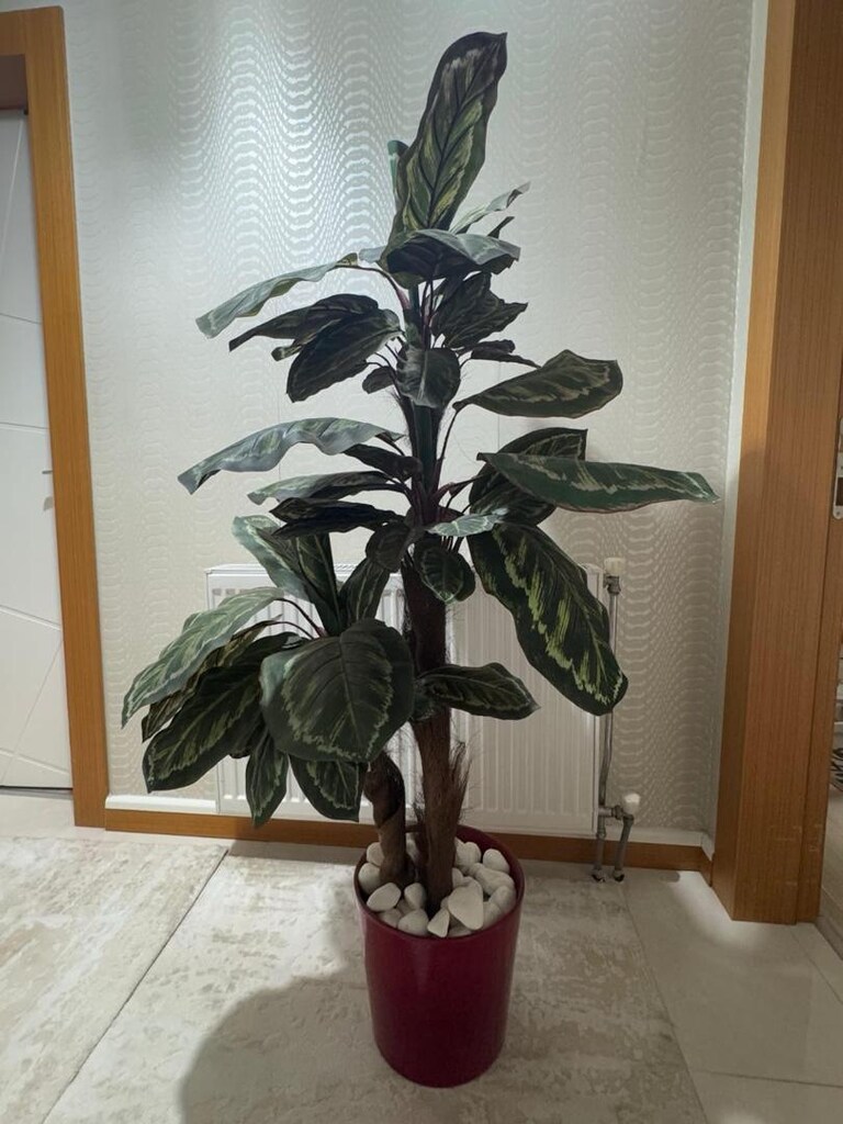 yapay dua çiçeği 150 cm - 4