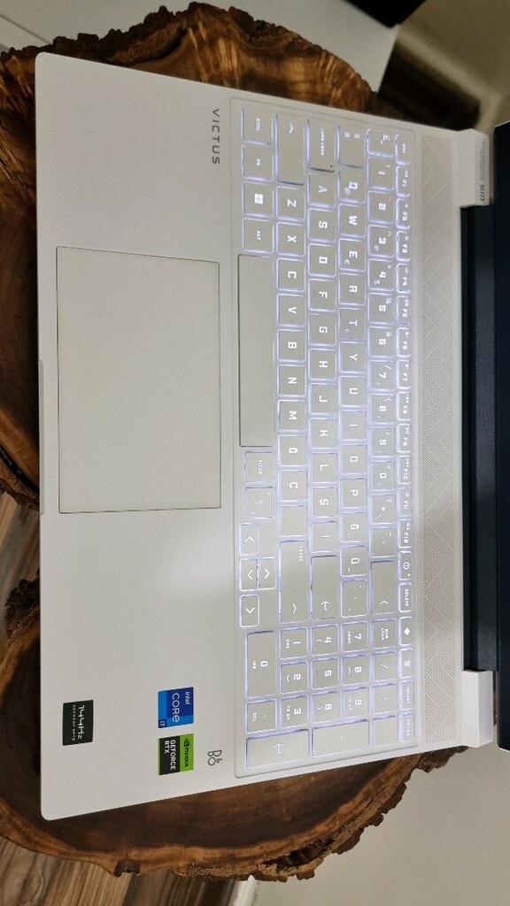 HP Victus i7-13700H RTX 4050 HATASIZ BEYAZ GAMİNG LAPTOP - 7