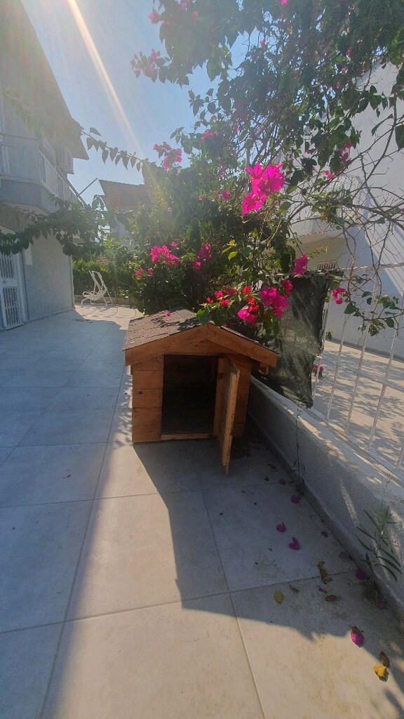 AHŞAP KÖPEK KULÜBESİ - 5