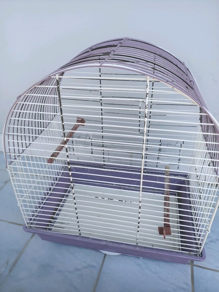 2 adet kafes çok iyi durumda - 3
