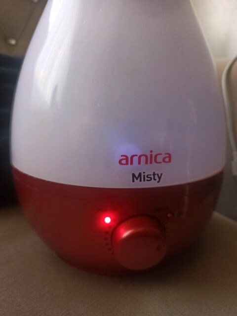 Buhar Makinesi.Arnica Misty.