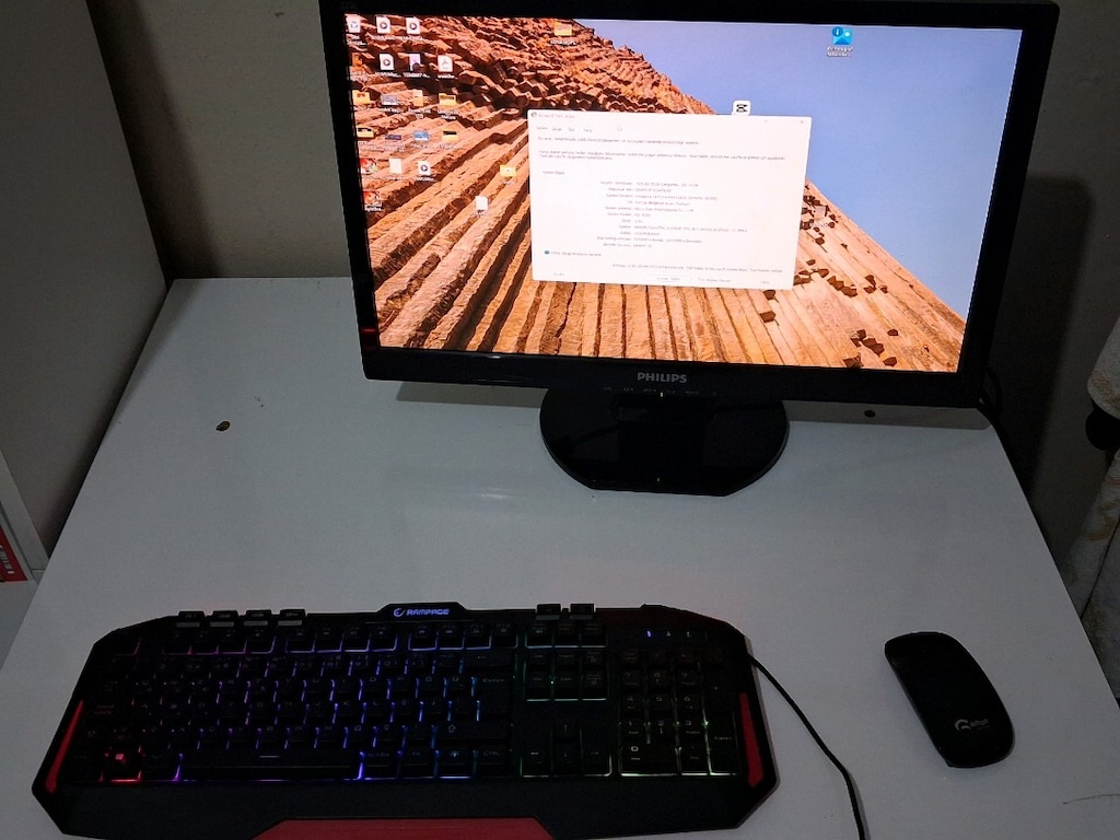 Philips 220e Monitor PC - 3