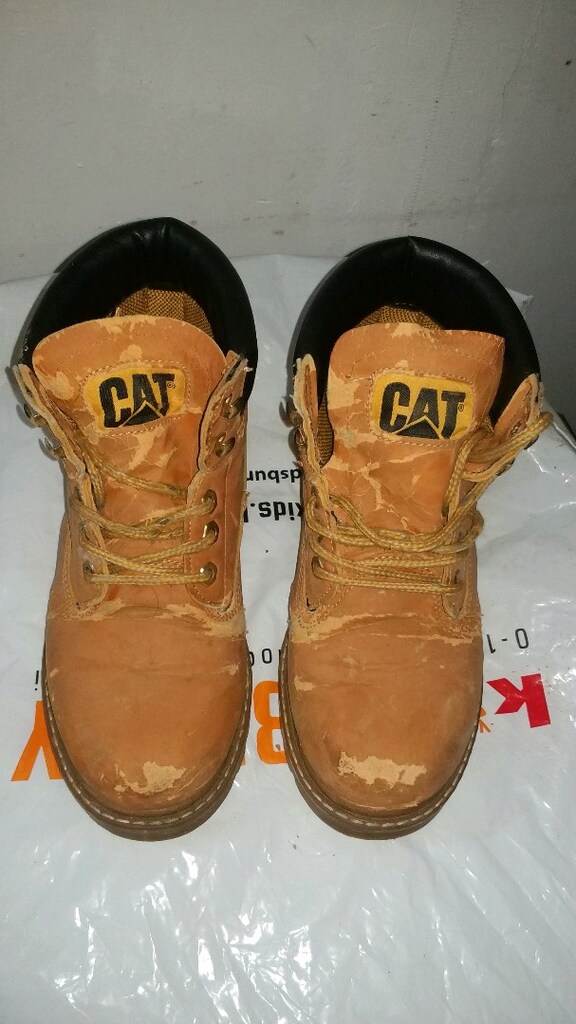 CAT BOTLAR - 4