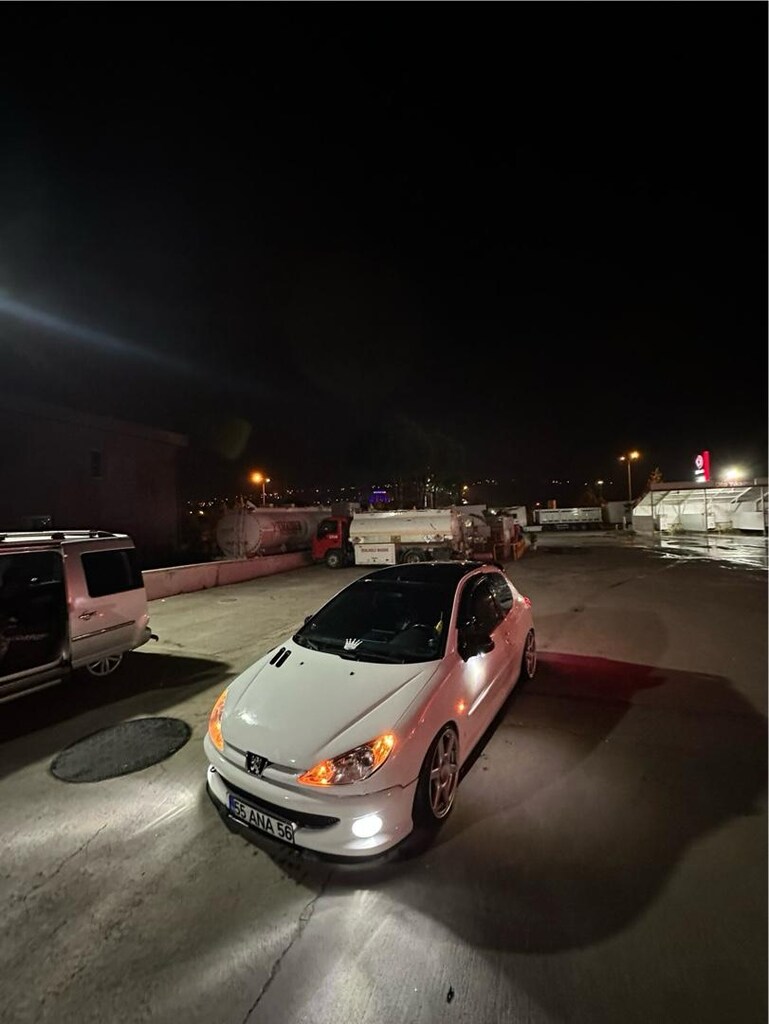 peugeot 206 - 7