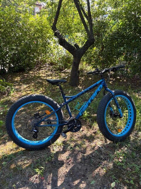 Carrero Fatbike bisiklet