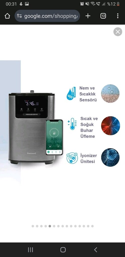 weewell sıcak soğuk buhar makinası
