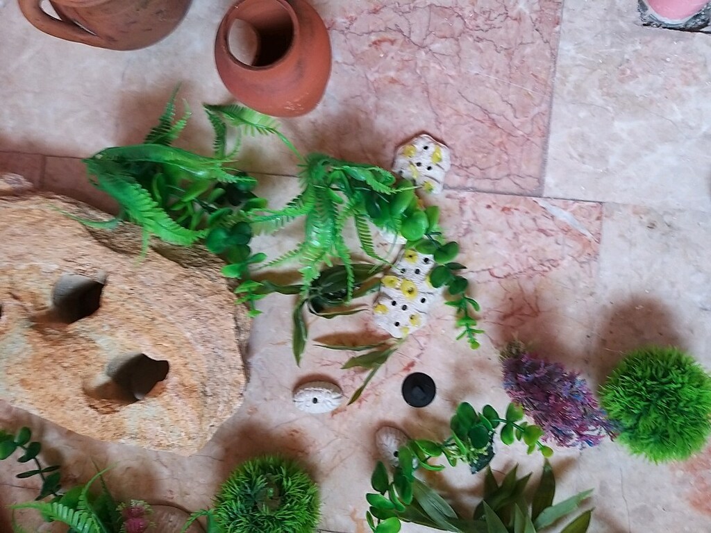 akvaryum taslari - 16