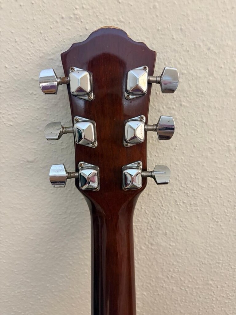 Ibanez Akustik Gitar - 10