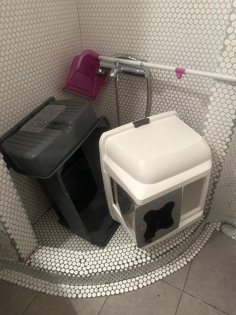 cattit yarı otomatik kedi tuvaleti