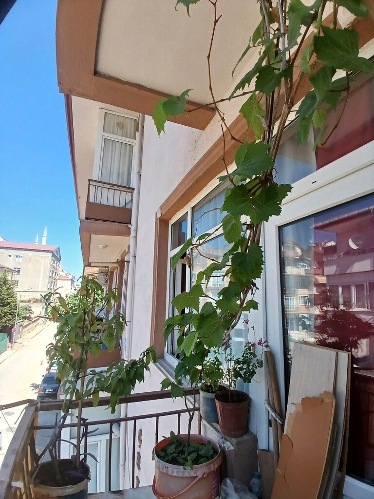 elektrikli süpürge fırçası borusu - 19