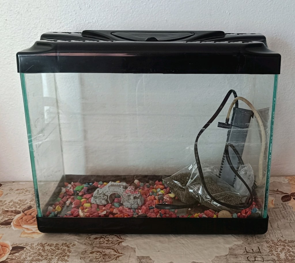 akvaryum - 2