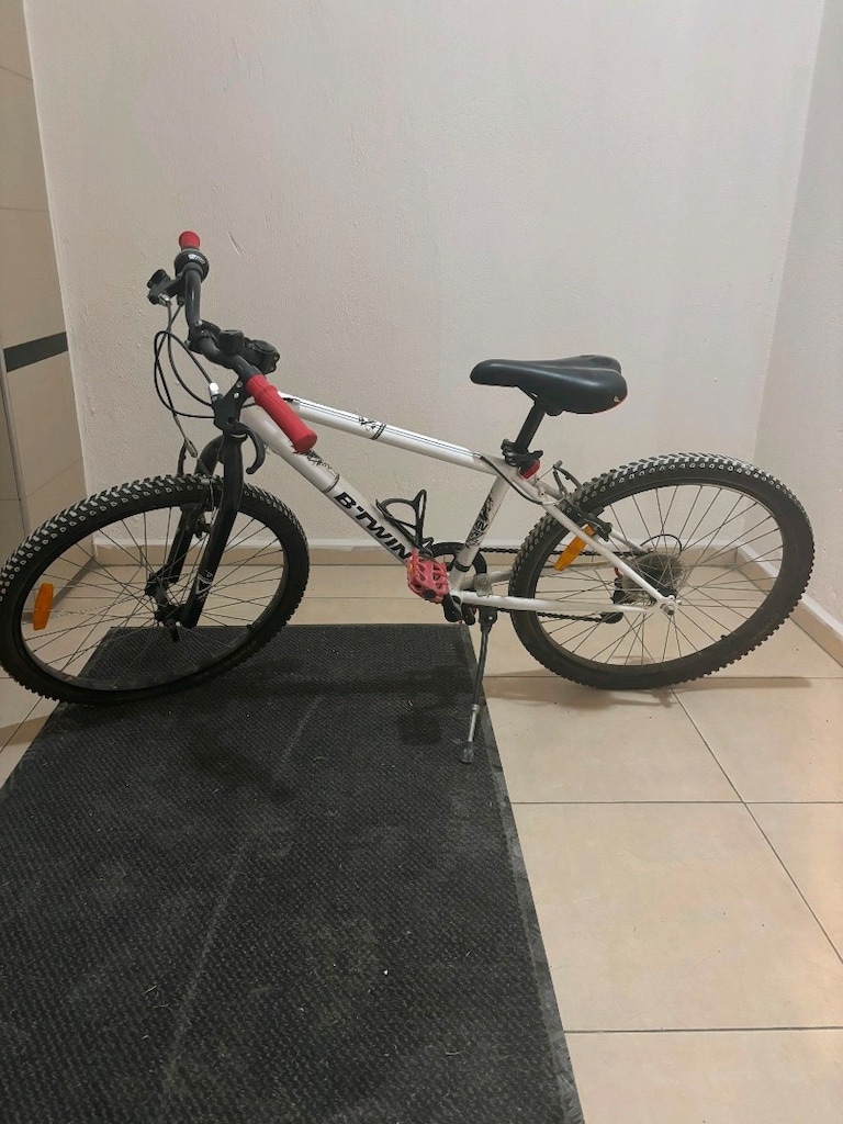 Bitwin rockrider 300