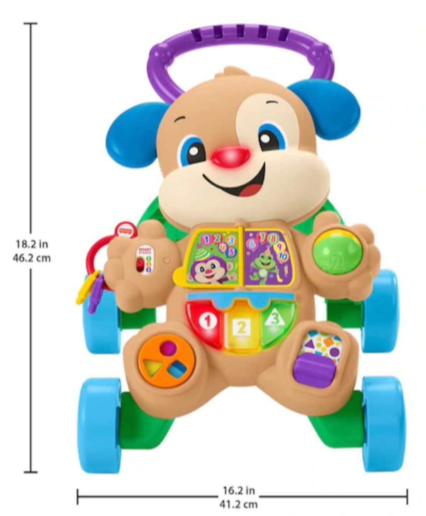 Fisher Price Türkçe ve İngilizce Eğitici Köpekçik Yürüteç FTG10 - 6