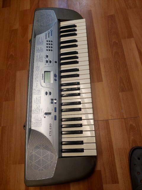 CASİO CTK 230 ORG