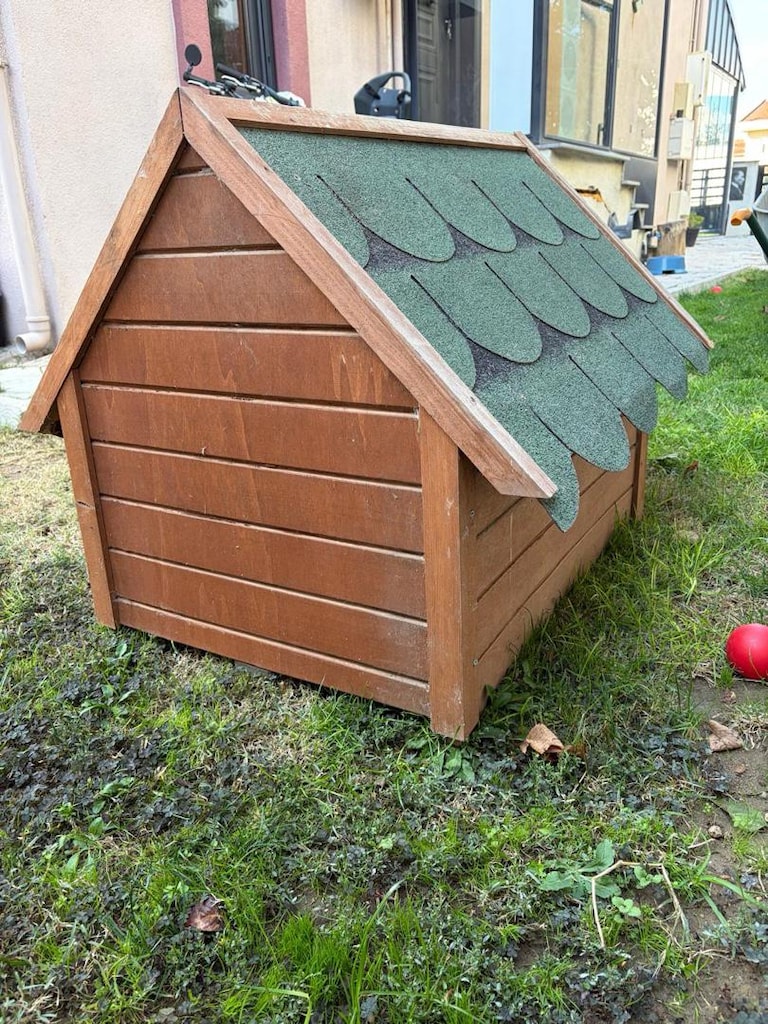 KÖPEK KULÜBESİ - 4