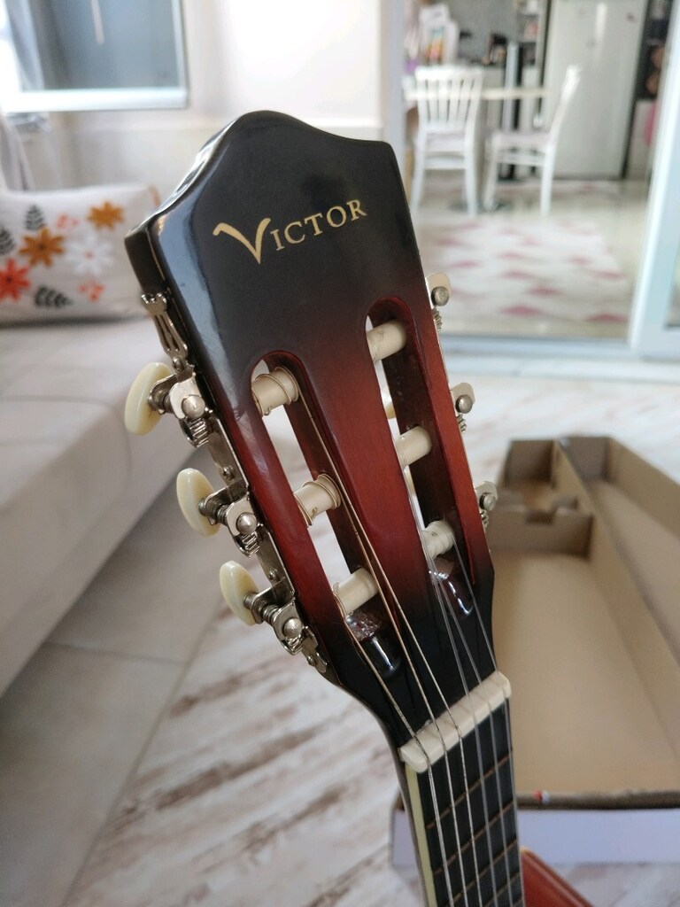 Victor Gitar - 5