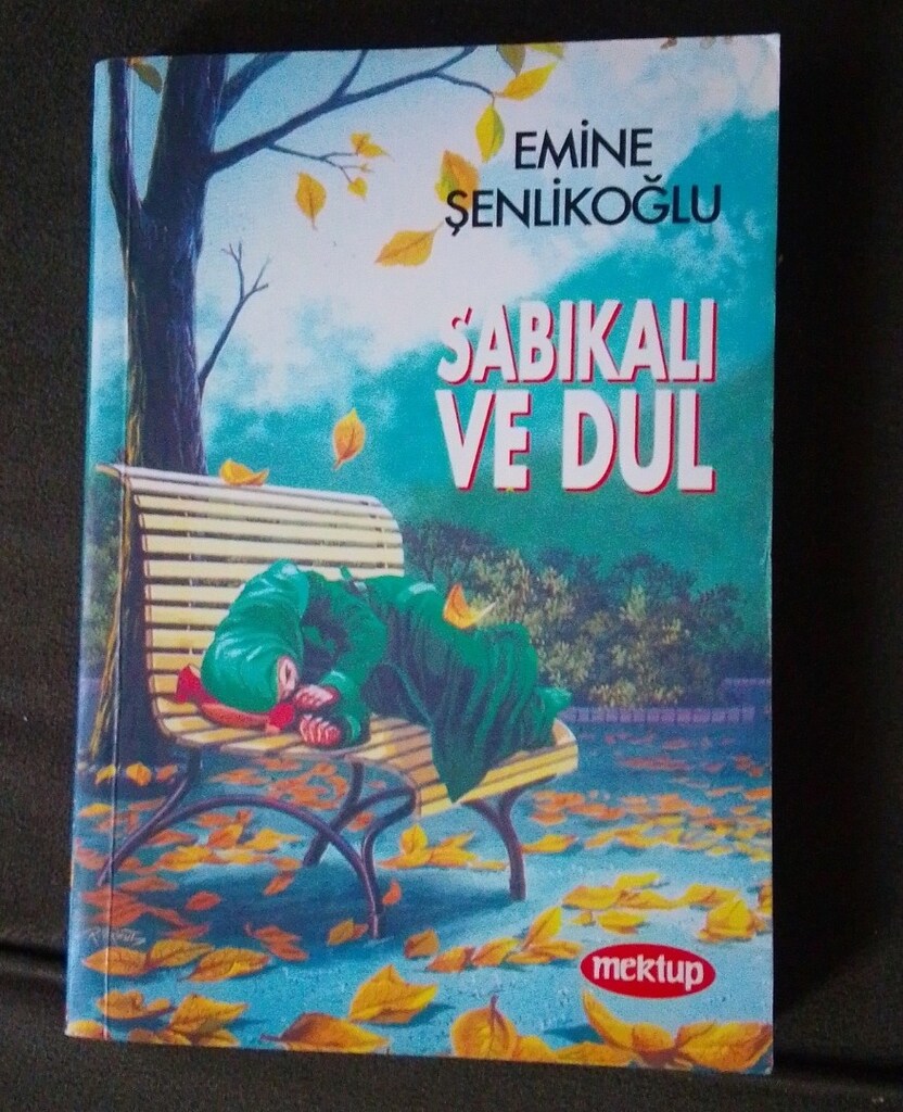 EMİNE ŞENLİKOĞLU KİTAPLARI - 5