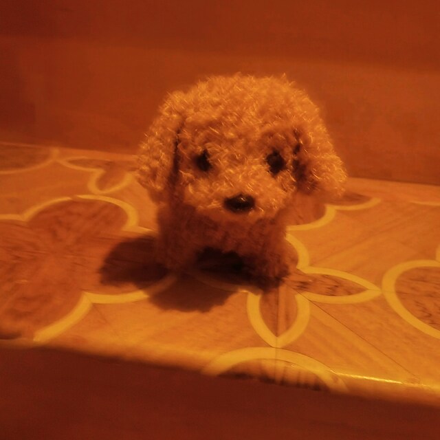 havlıyor ve yürüyor yavrumu oyuncak köpek