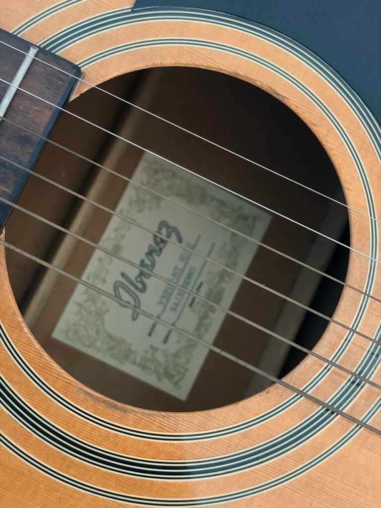 Ibanez Akustik Gitar - 3