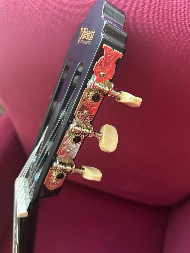 Valencia VC104T Klasik Gitar+Kılıfı - 4