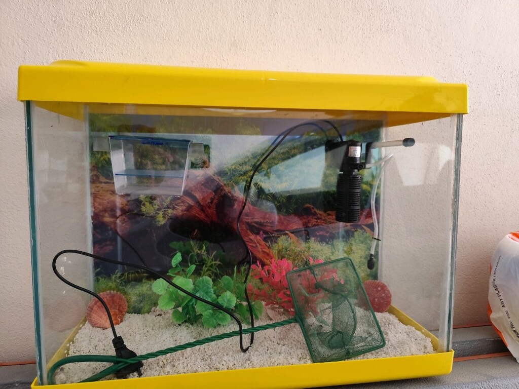 50 cm kurulu akvaryum - 6