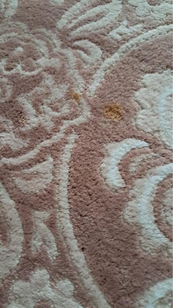 4 m² Pudra-Bej Desenli Halı - 5