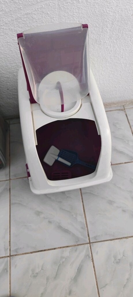 kedi bakımı - 5