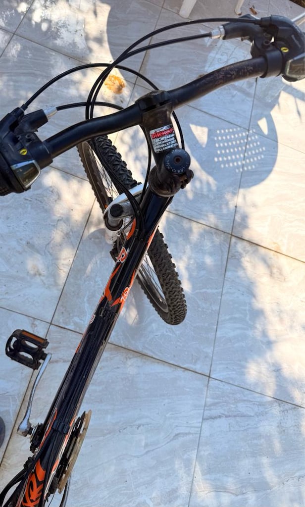 bianchi scorpion temiz alıcısını üzmez - 4