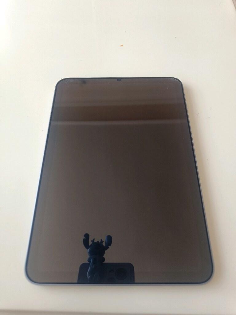 Temiz iPad mini 6 256GB – YURT DIŞI - 2