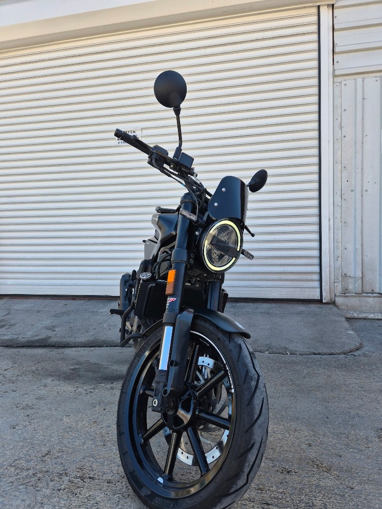 HUSQVARNA SVARTPILEN 250 2022 - 4