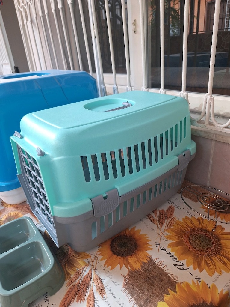 pet shop